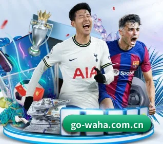 哇哈体育客户端 APP 界面